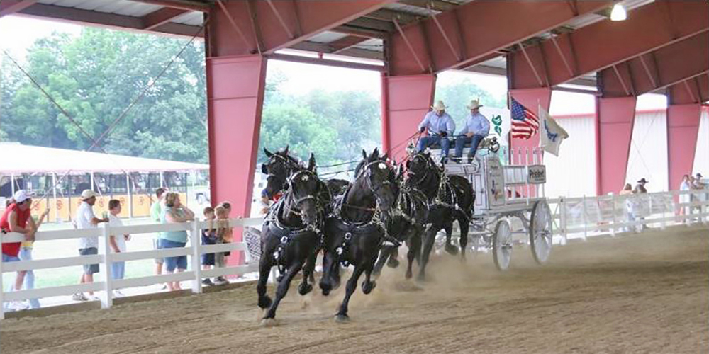 County Fairgrounds Covered Arena