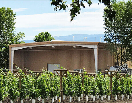 Steel Building Winery with Exposed Steel Canopy