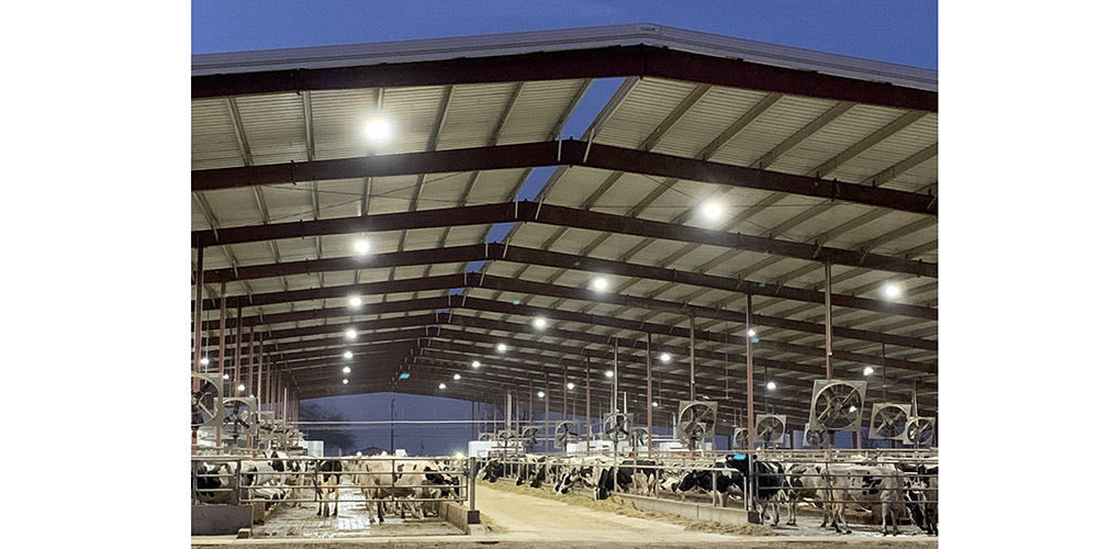 Steel Building Dairy Barn with Open Walls