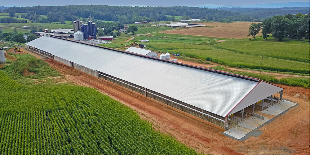 Agricultural dairy building