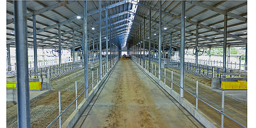 Dairy barn with galvanized steel