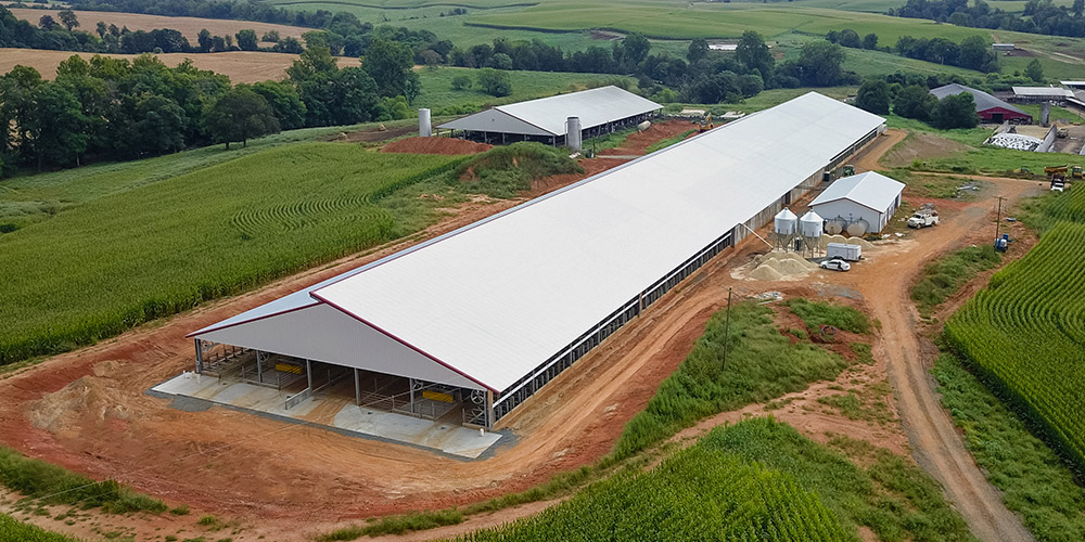 Dairy building with galvanized steel