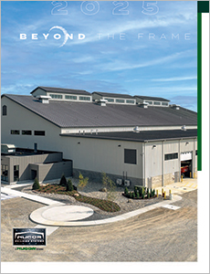 Beyond The Frame Brochure