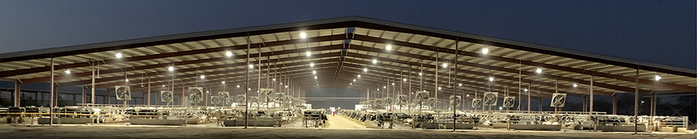 Dairy barn metal building