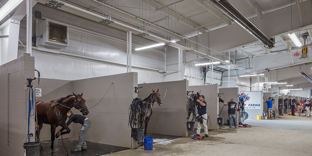 Equestrian metal building
