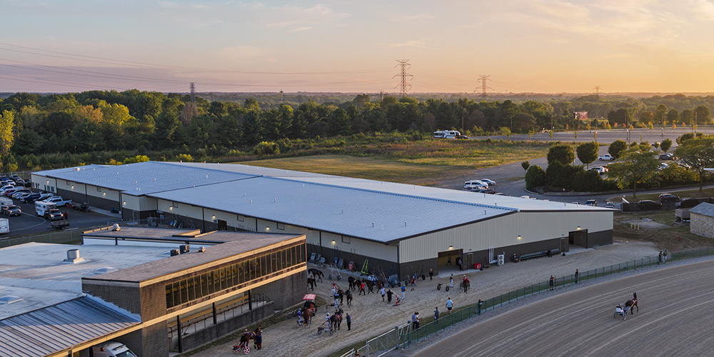 Horse racing paddock